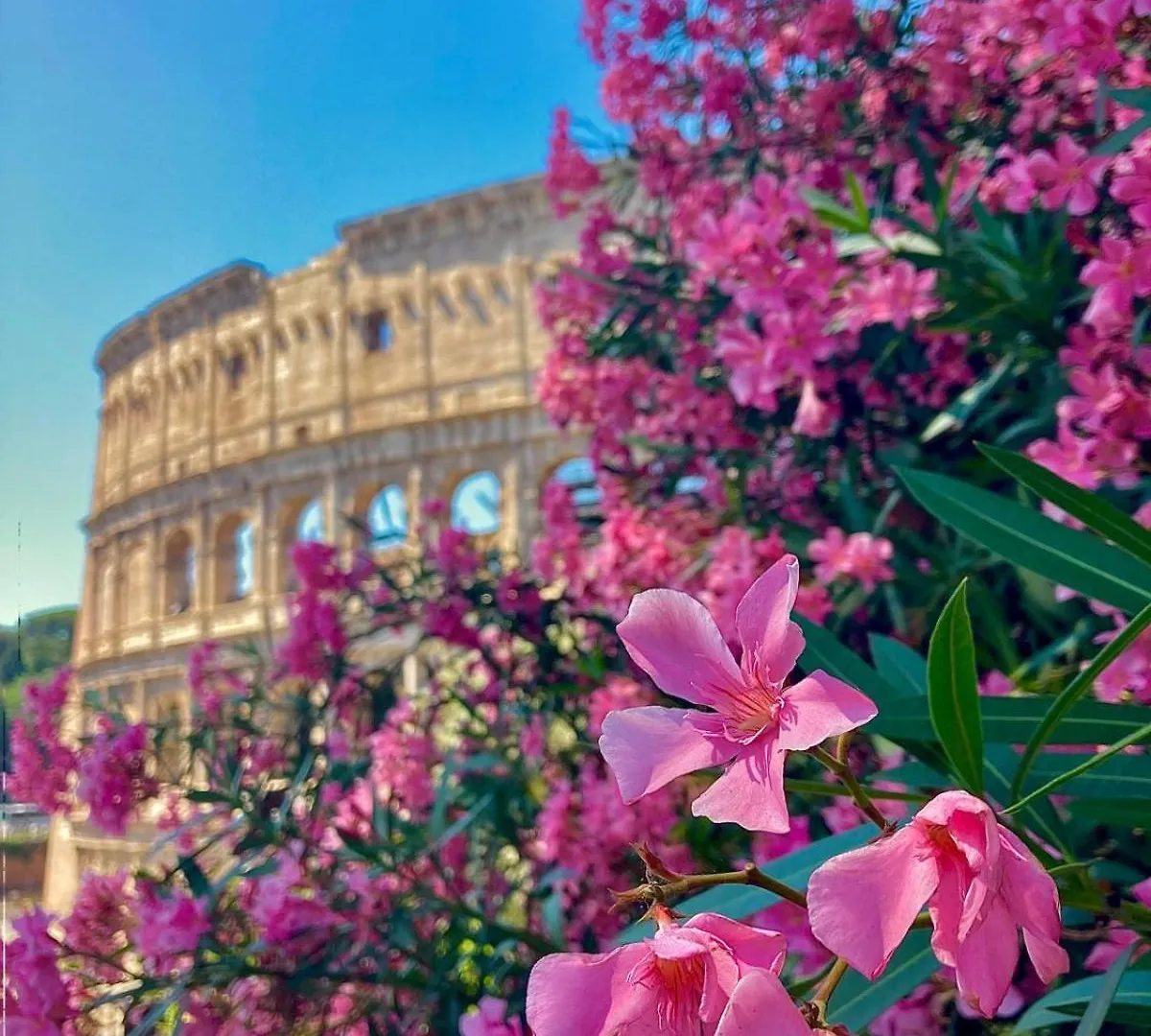 Cozy Colosseo 로마 0*,  이탈리아